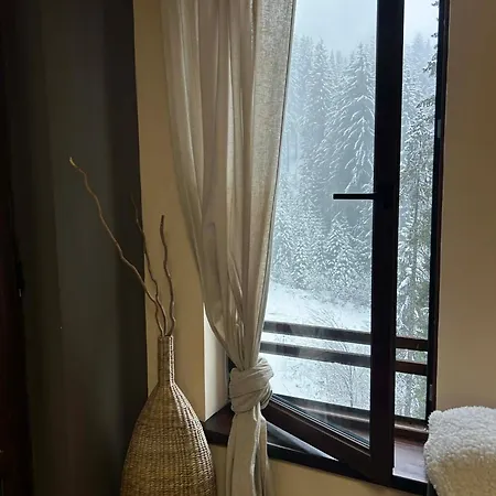 Apartament Point A18 Pamporovo